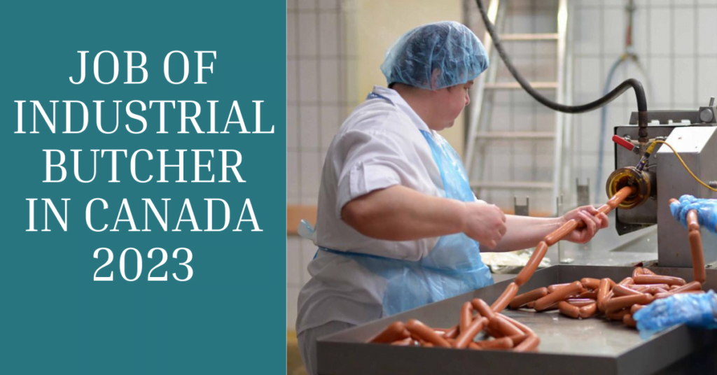 JOB OF INDUSTRIAL BUTCHER IN CANADA 2023